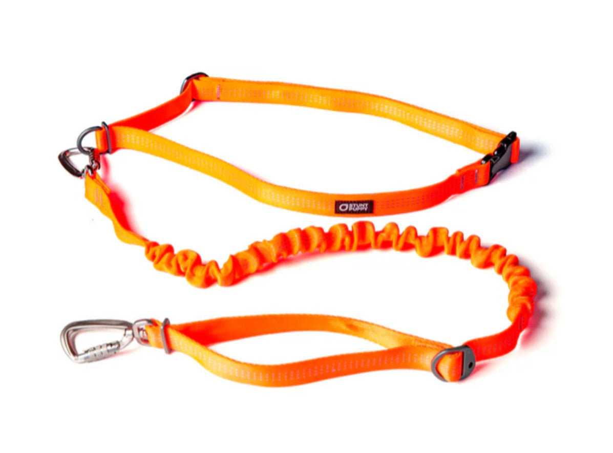 Stunt Puppy Stunt Runner Leash