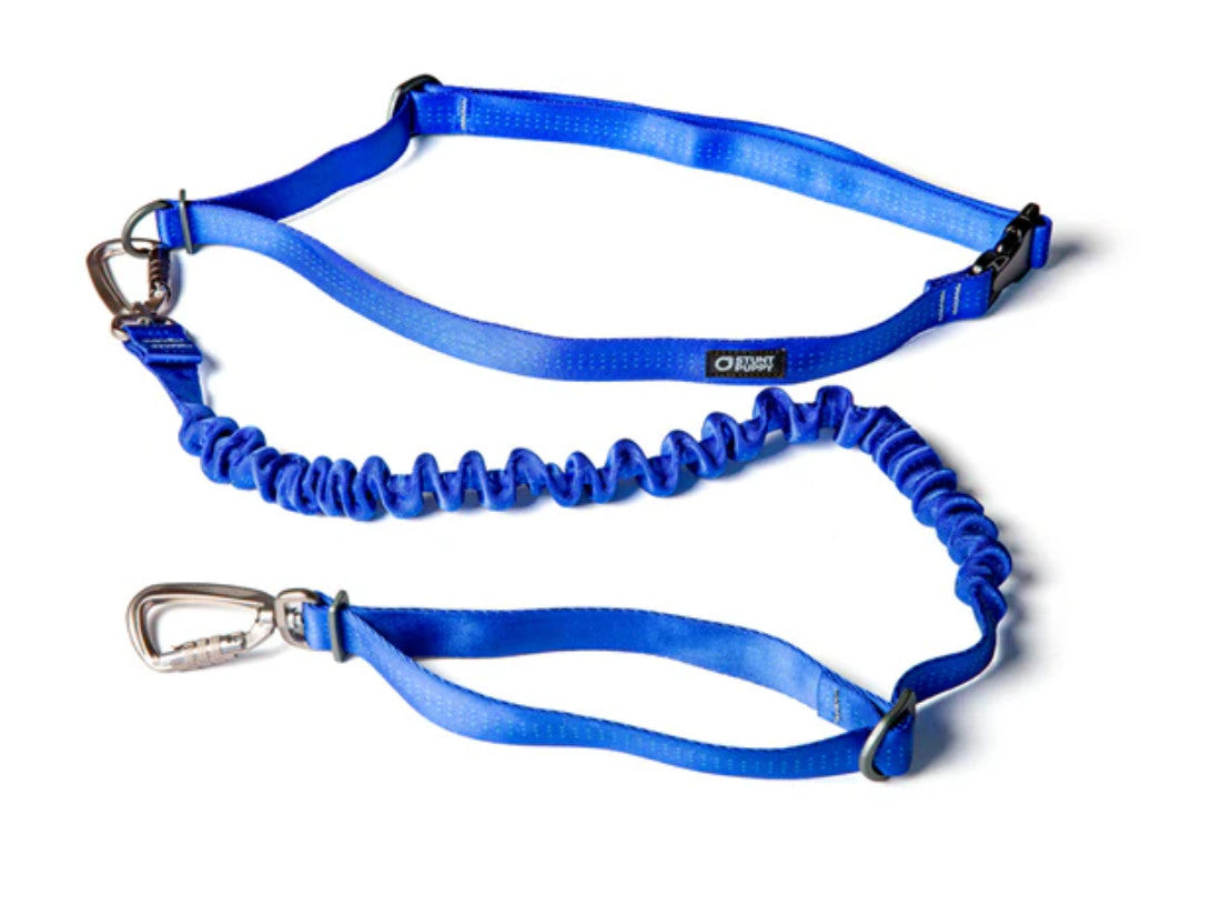Stunt Puppy Stunt Runner Leash
