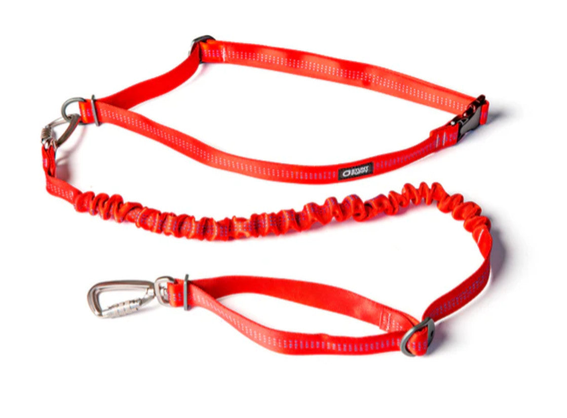 Stunt Puppy Stunt Runner Leash