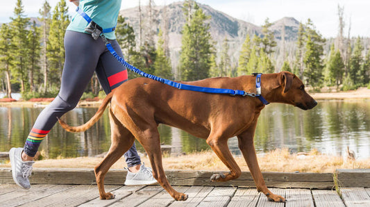 Stunt Puppy Stunt Runner Leash